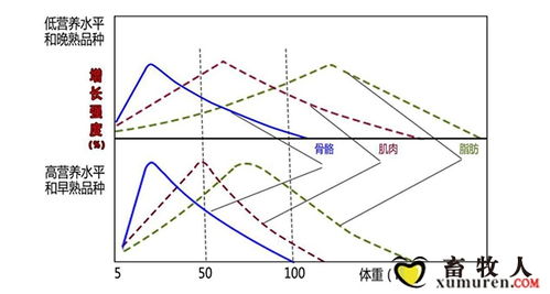 飼料ODM物聯網技術研發與實踐應用